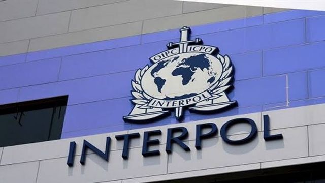 Thousands of dollars flown out of Nigeria daily by corrupt individuals- INTERPOL