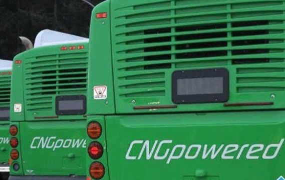 Niger Govt. receives additional 50 CNG buses