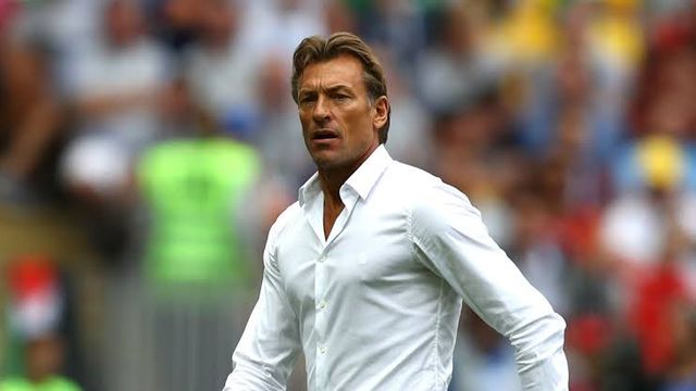 France announces Renard’s successor amid links to the super eagles