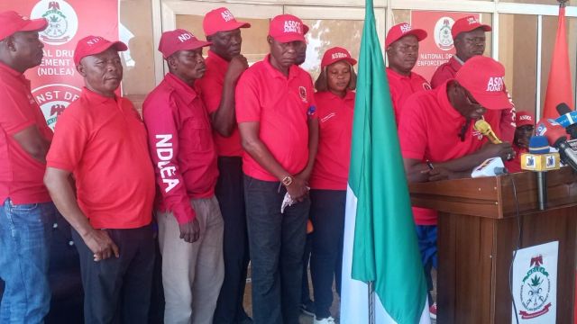 NDLEA seizes 4 tonnes of illicit drugs, arrests 583 suspects in Adamawa