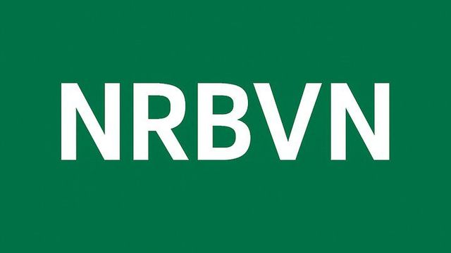 NRBVN alone won’t fix Nigeria’s foreign exchange crisis