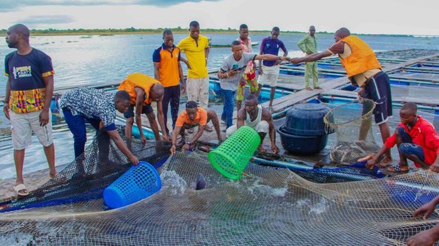 Nigeria to host 16th session of W’Africa fisheries association