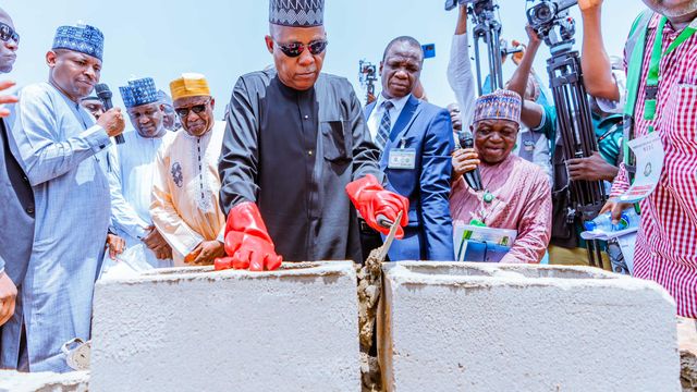 We are committed to economic revival of North East — Shettima