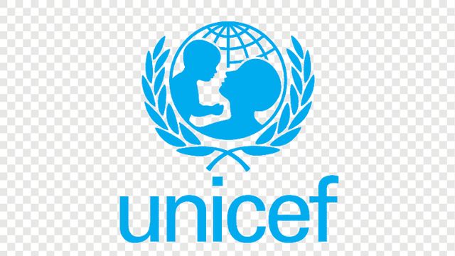 Birth registration crucial for child’s legal identity – UNICEF