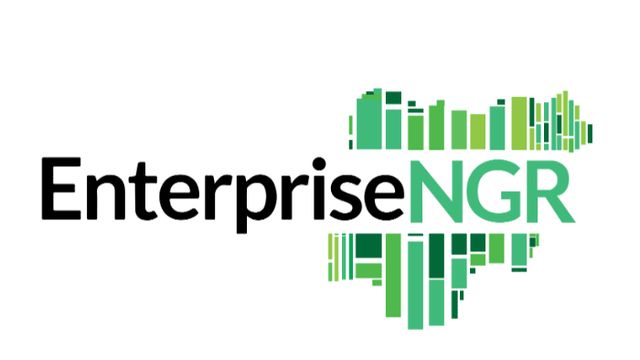 EnterpriseNGR calls for media partnership in repositioning Nigeria