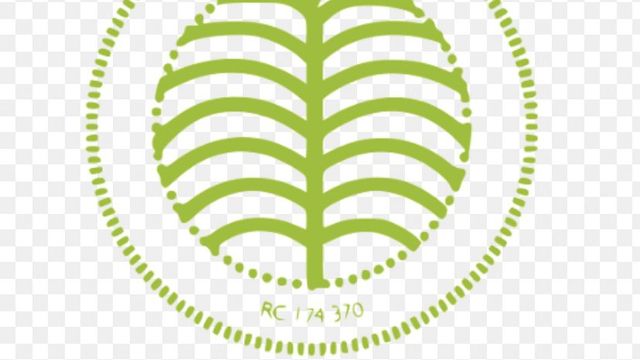 Presco Plc doubles revenue, posts N113.2bn pre-tax profit for 2024