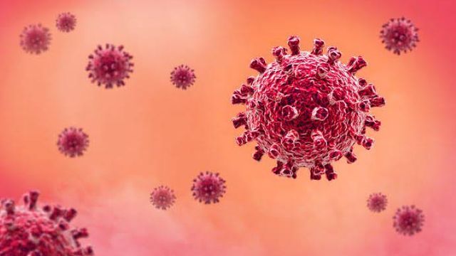 3 cases of monkey pox reported in Burundi