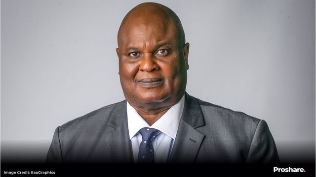 FG can slash inflation to 5% by 2025 with $50bn FDI — Economist