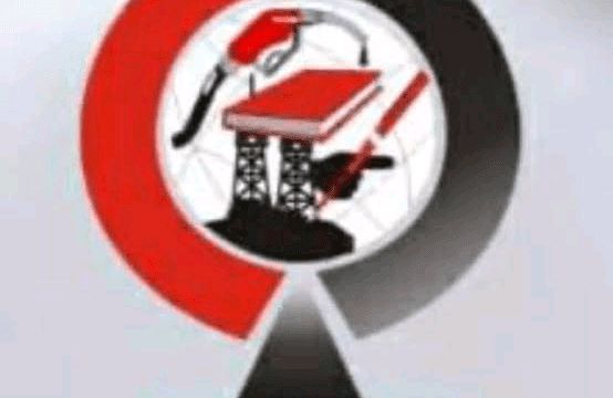 AGIS 2024: Create an enabling environment for gas technology development in Africa – NAEC tells, FG, Stakeholders