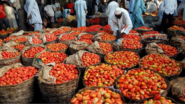 How a Tomato Paste pitch secured N250m at NDIS 2025