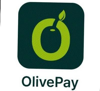 Emerging Payment Solutions Provider Of The Year – OLIVE PAY