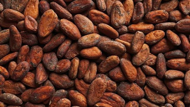 The FG aims to achieve a cocoa production goal of 500,000 metric tonnes by 2025