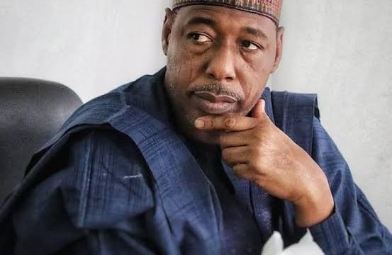 Zulum appoints DG for Borno state agency for great green wall