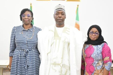 Access Holdings donates N1bn for flood relief, infrastructure restoration in Borno