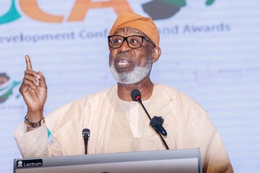 Over 300 illegal miners have been apprehended – Alake
