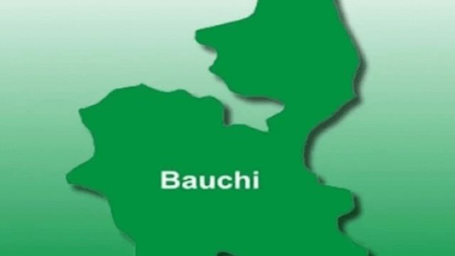 Bauchi govt. reaffirms commitment to education of girls through CCT
