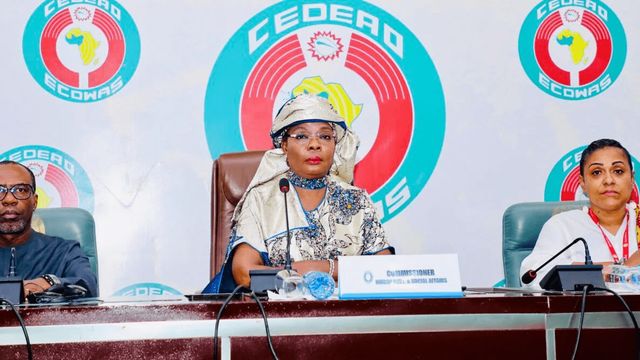 ECOWAS allocates $25m in 2024 to fight terrorism in Nigeria, others