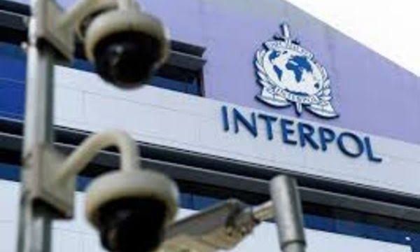 Hundreds linked to black axe, cybercrimes arrested – Interpol