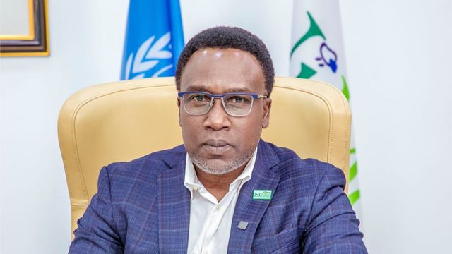 NiMet DG calls for climate data integration in sustainability reporting