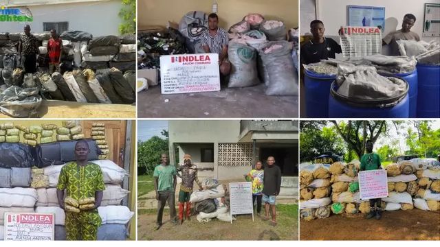 Police bust illicit drug warehouse in Delta, arrest seven distributing agents