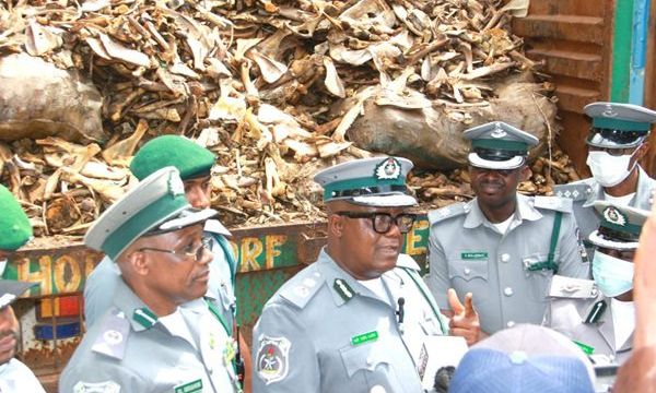 Customs impounds donkey bones, meat worth N3bn DPV in one month