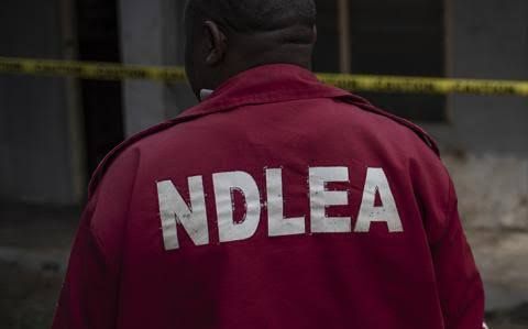 NDLEA processes convictions for 22 drug dealers in Kano