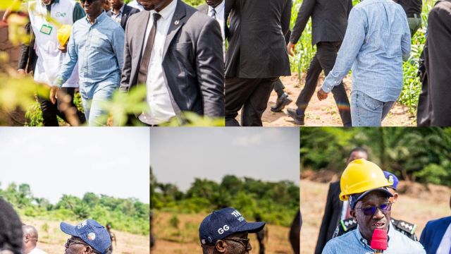 Food security: Edo commences cultivation of 3,000 hectares of farmlands