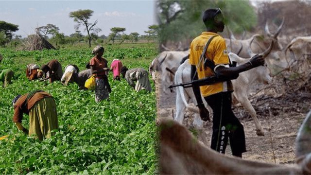 Herdsmen attack village, kill farmers, destroy farms, businesses