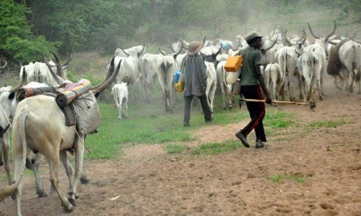 Farmers–Herdsmen clash in Iru community sparks Police investigation