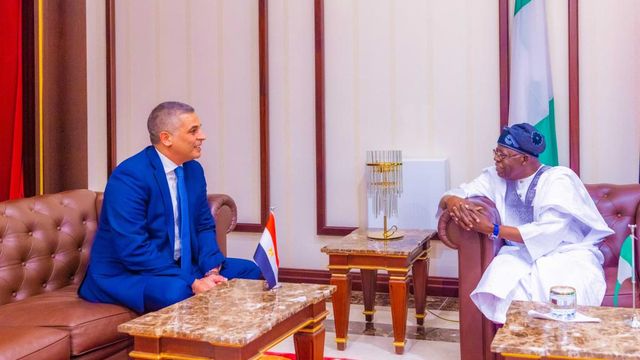 Nigeria’ll continue to play strategic roles in Africa- Tinubu
