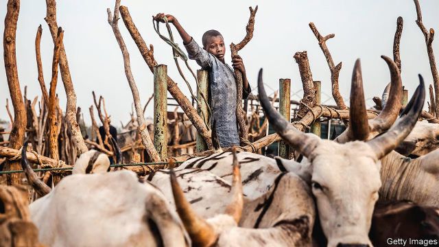 Kwara to prioritise education for herders’ children to end insecurity