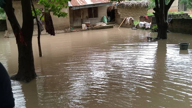 Flood devastates Oyo communities, millions lost in farmlands, property