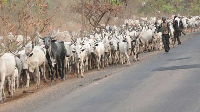 Suspected herdsmen launched an attack on a community in benue ,resulting in the deaths of 2 soldiers, 7 villagers