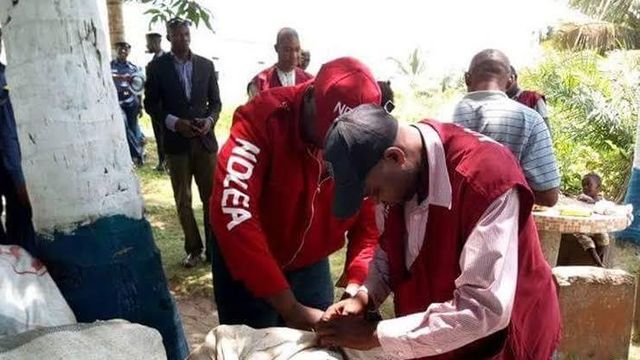 Oyo NDLEA arrests 280 drug trafficking suspects in 8 months