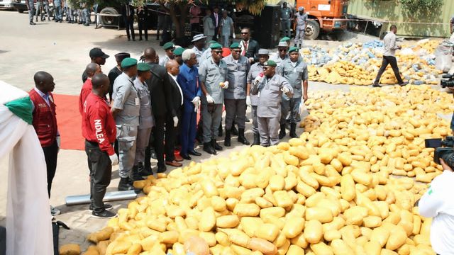 Customs dismantles drug network, seizes over 6,000 kg of cannabis sativa in Lagos