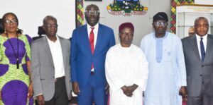 LASG, RMAFC collaborate on economic diversification to boost IGR