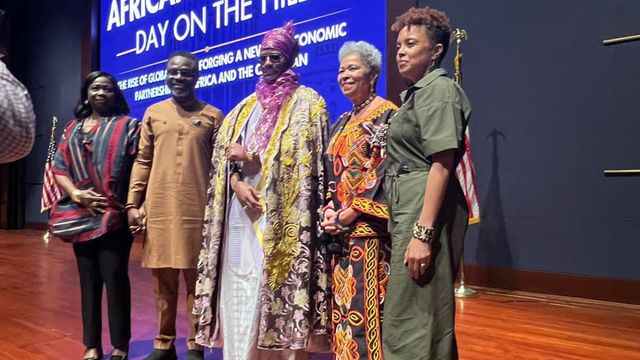 Nigerians in diaspora contribute $20bn annually to national economy — NIDCOM CEO