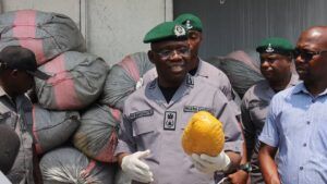 Customs intercepts 1,958kg cannabis sativa in Lagos