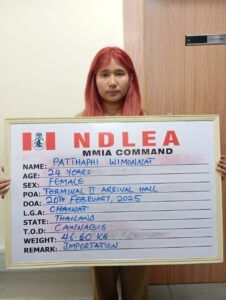 NDLEA detains Thai lady with boxes of illicit drugs at Lagos airport