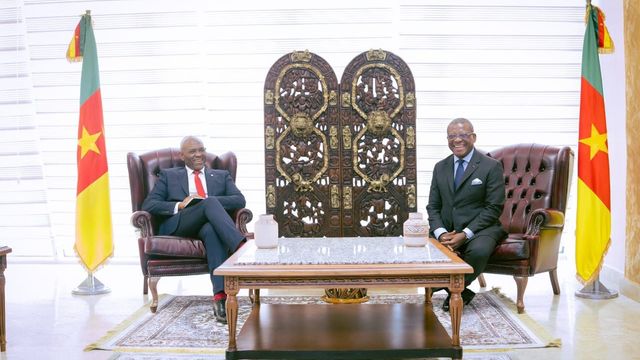 At Cameroon Economic Meeting, Elumelu pushes for strategic partnership to boost Africa’s economy
