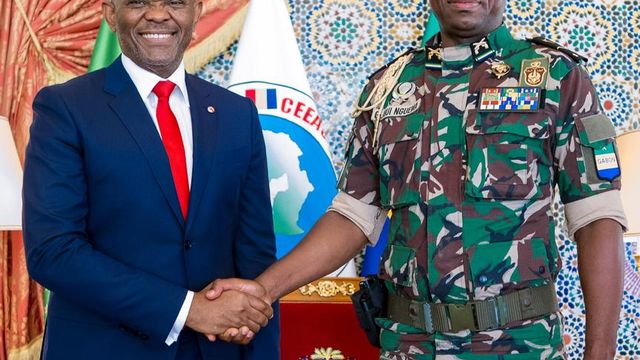 Elumelu pledges investment to boost Gabon’s infrastructure, youth empowerment