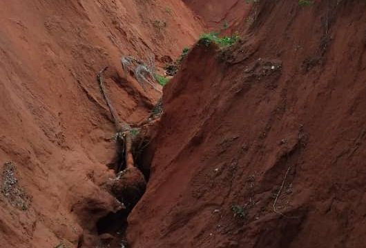 Anambra community raises alarm over gully erosion