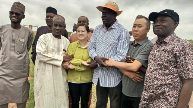 Chinese investors plan $700m agricultural investment in Katsina