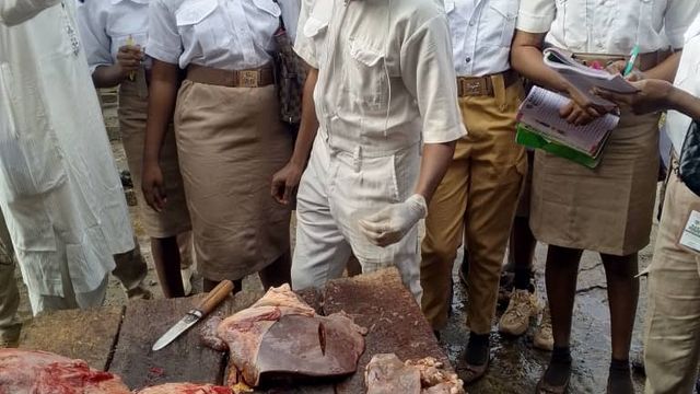Kwara trains students on public health, environmental protection