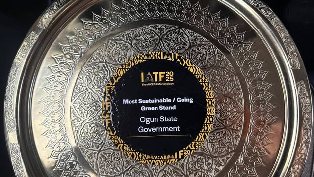 Ogun wins Sustainability award at IATF 2025