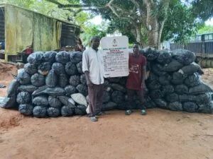 NDLEA destroys 66,000kg of cannabis, arrests 54 suspects in Edo crackdown