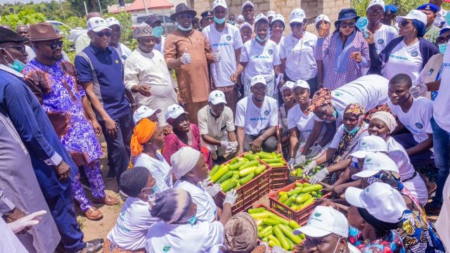 Kogi records 260kg weekly harvest from greenhouse cucumber project