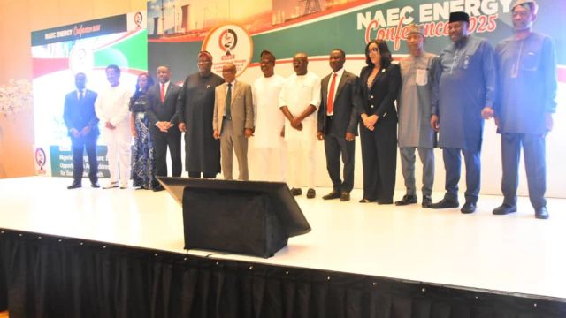 FG cuts oil block signature bonuses to boost investment — NUPRC