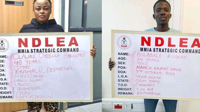 NDLEA uncovers drug syndicate concealing tramadol in frozen snails, bulbs, clothes