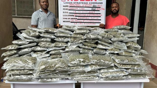 NDLEA seizes 14,440kg skunk, arrests Lagos kingpin